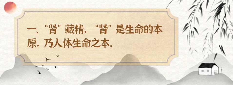 黄帝内经 肾精 人体生命本原_中医肾精 充养与衰少_黄帝内经·生命智慧