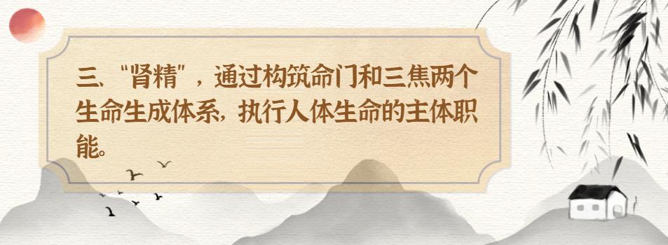 黄帝内经 肾精 人体生命本原_黄帝内经·生命智慧_中医肾精 充养与衰少