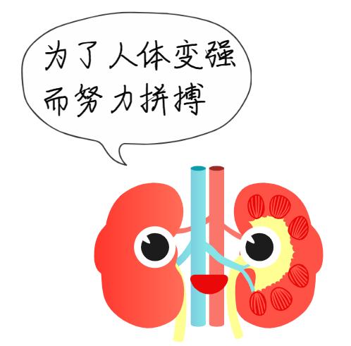 黄帝内经·生命智慧_中医肾精 充养与衰少_黄帝内经 肾精 人体生命本原