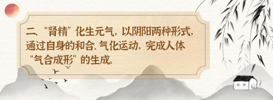 黄帝内经 肾精 人体生命本原_黄帝内经·生命智慧_中医肾精 充养与衰少