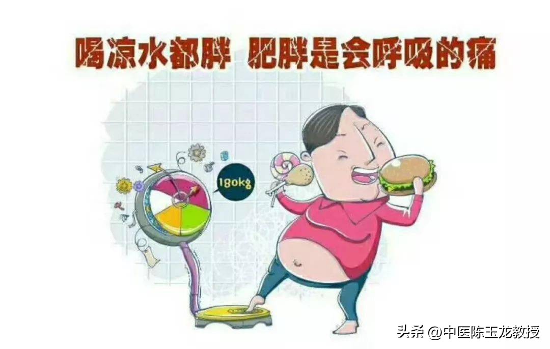 中医减肥祖方_能减肥的中药配方_枳术汤治疗肥胖