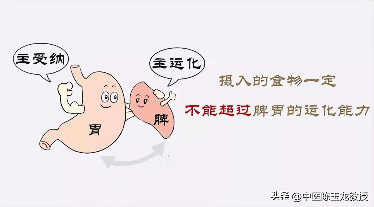 能减肥的中药配方_枳术汤治疗肥胖_中医减肥祖方