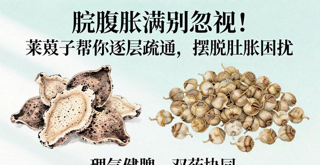 脘腹胀满别忽视!莱菔子帮你逐层疏通,摆脱肚胀困扰