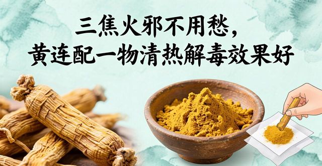 三焦火邪不用愁,黄连配一物清热解毒效果好