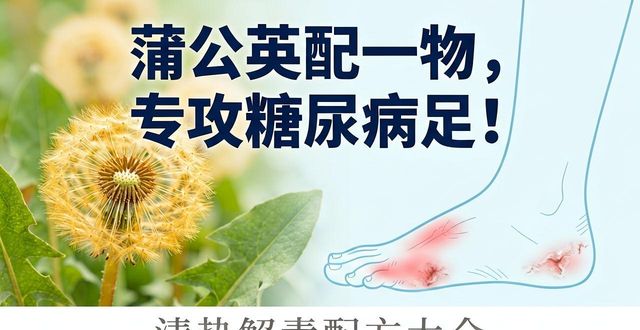 蒲公英糖尿病足外洗方_蒲公英糖尿病足治疗_清热解毒中药配方大全