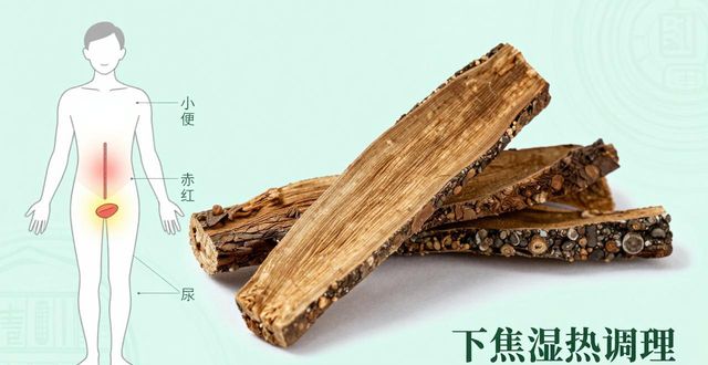 清热解毒中药配方大全:8种清火药对症选,心火肺热下焦湿热全解决