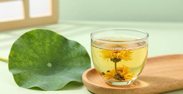 清肝火辅助降压,野菊花决明子茶方