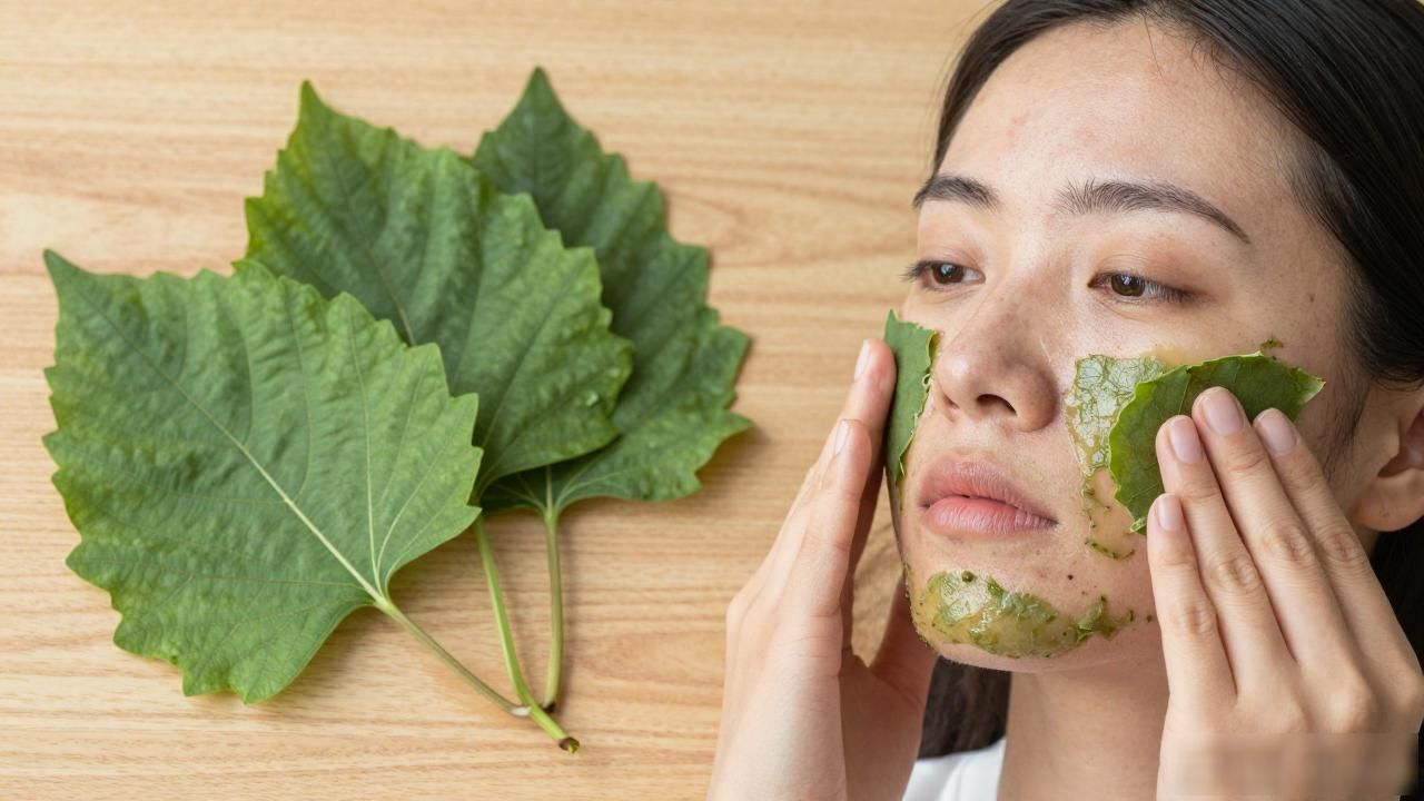 中药祛痘配方推荐 马齿苋敷脸去痘痘