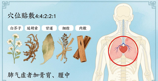 三伏贴的中药配方揭秘!成人、儿童配方大不同