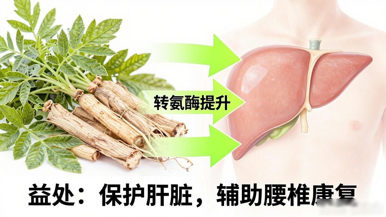 腿疼中药配方:一味骨碎补,专治腰椎间盘突出
