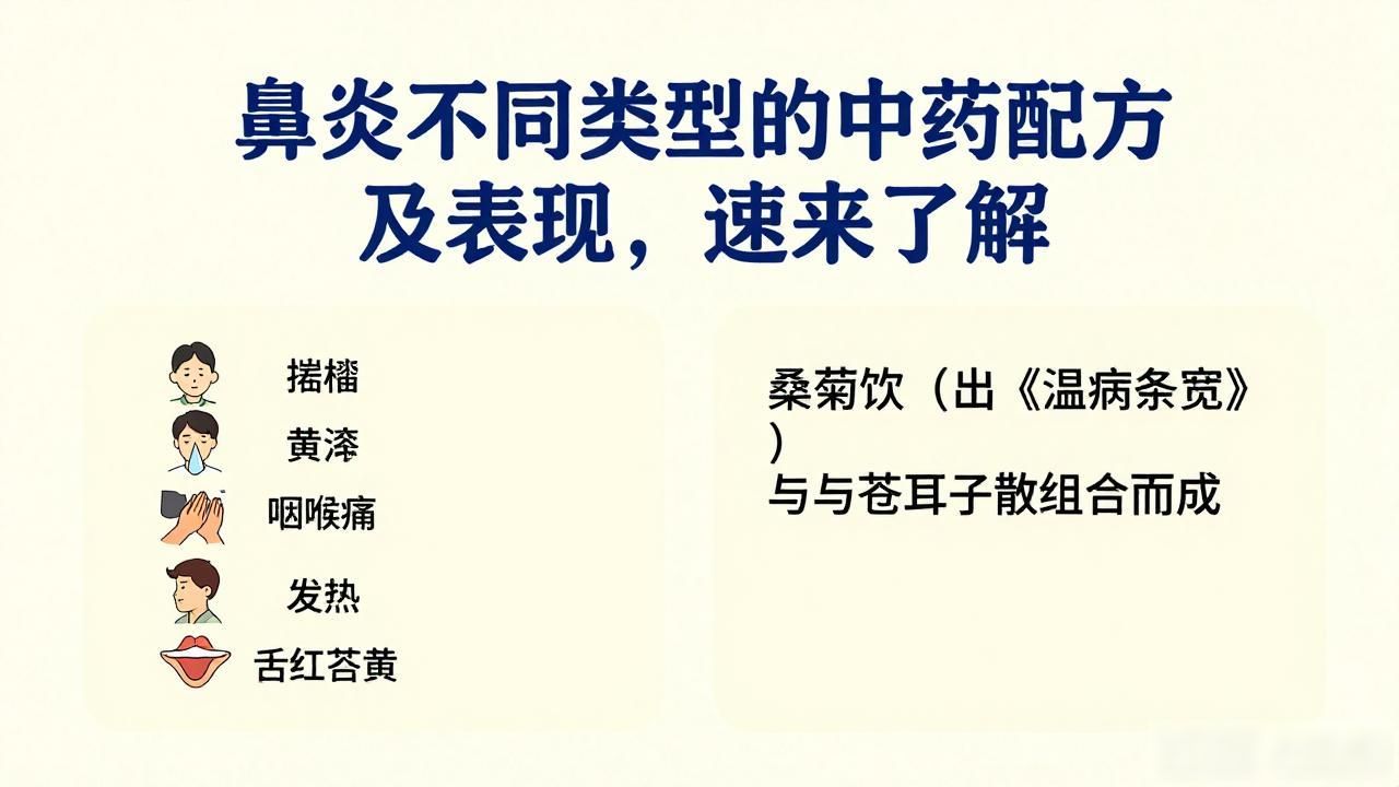 鼻炎不同类型的中药配方及表现，速来了解