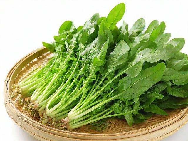 吃中药能吃荠菜吗「荠菜的功效与作用主治什么病」