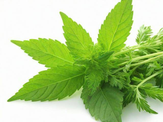 干眼症吃中药可以好吗「干眼症真的可以用中药治愈吗」