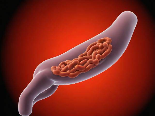 胆囊息肉吃中药能没吗「胆囊息肉能吃中药消除吗?」