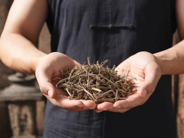 肠胃炎吃中药「肠胃炎吃中药有用吗」