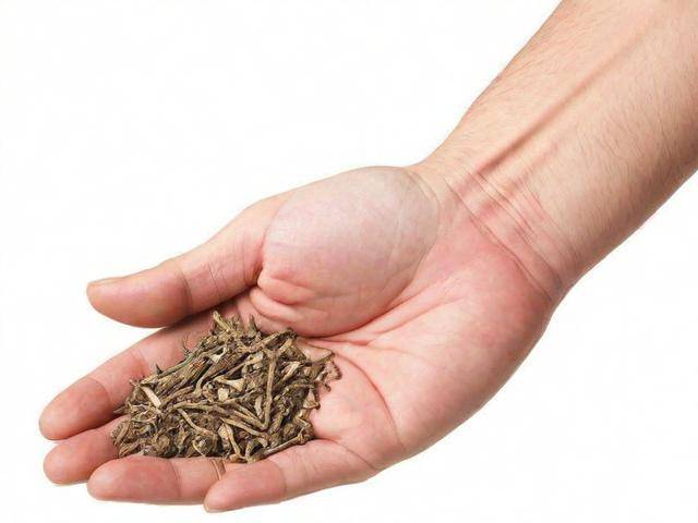 腰肌劳损吃中药好吗「腰肌劳损吃中药好吗还是西药」