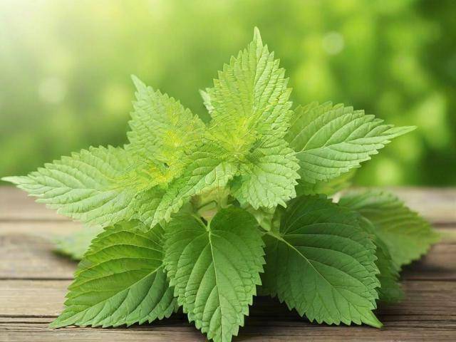 荨麻疹吃中药多久断根「荨麻疹吃中药多久能治愈」