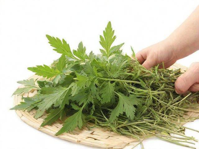 痔疮可以吃中药调理吗「痔疮能吃中药调理吗」